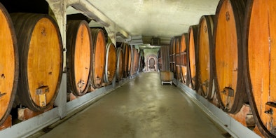 Weinkellerbesichtigung mit Verkostung